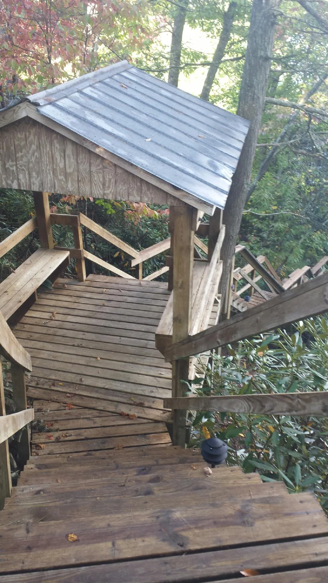 Metal roofed shelter over wooden steps on a wooded walkway — Skylight Repair & Installation work by our crew in La Conner