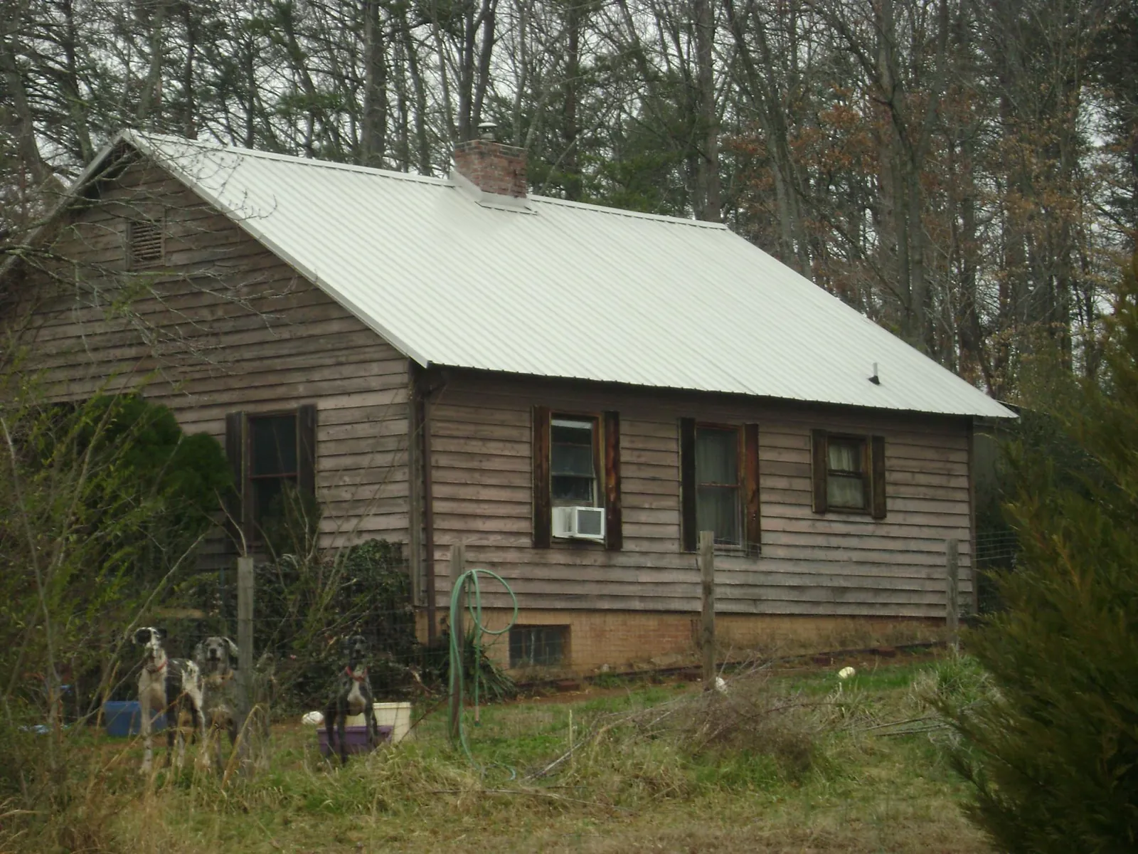 White metal roof on an old wood sided farmhouse, from a Metal Roof Installation job in La Conner